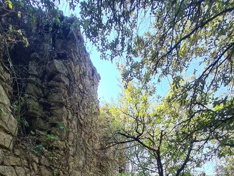 Domaine des Garrigues - Camping Ardèche - Image N°39