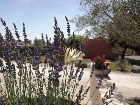 Domaine des Garrigues - Camping Ardèche - Image N°12