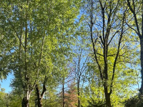 Vodatent Camping Les Rives de Courtes - Camping Gers - Image N°6