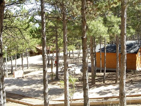CHALET 4 personnes - Cabane Familial