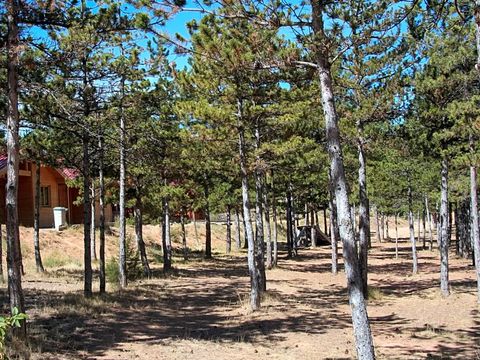 Camping Las Cabanas - Camping Teruel - Image N°7