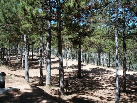 Camping Las Cabanas - Camping Teruel - Image N°5