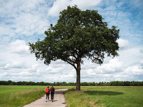 Landgoed de Huynen - Camping Aa en Hunze - Image N°5