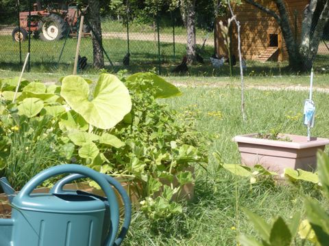 Camping Domaine de Corneuil - Camping Dordogne - Image N°60