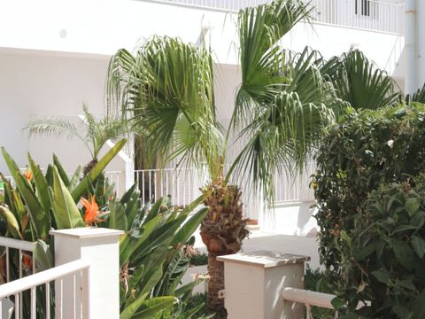 APPARTEMENT 6 personnes - Standard - 2 chambres