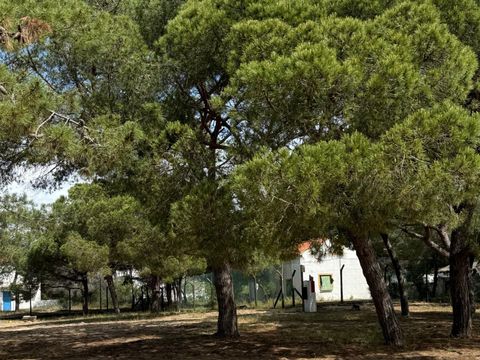 Emplacement - CAMPING GRATUIT ATÉ 8m²
