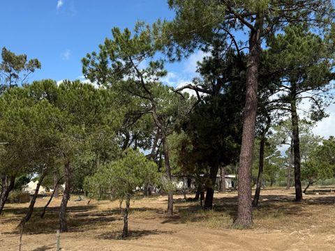 Emplacement - CAMPING GRATUIT ATÉ 8m²