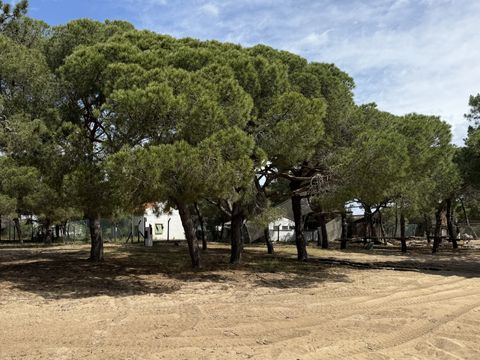 Emplacement - CAMPING GRATUIT ATÉ 8m²