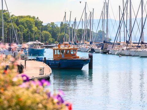 Camping Le Léman Plage - Camping Haute-Savoie - Image N°9