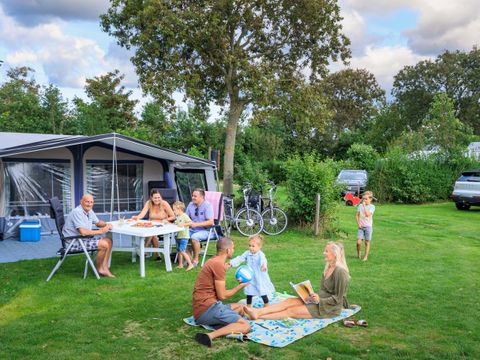 Camping Ginsterveld - Camping Schouwen-Duiveland - Image N°20
