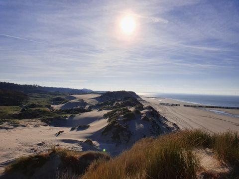 Camping Ginsterveld - Camping Schouwen-Duiveland - Image N°25