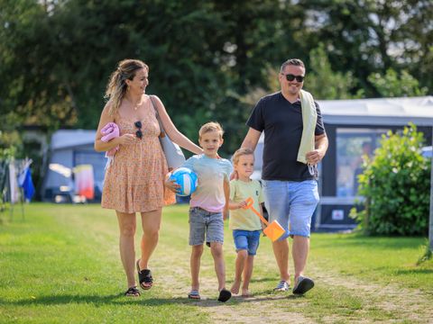 Camping Ginsterveld - Camping Schouwen-Duiveland - Image N°5