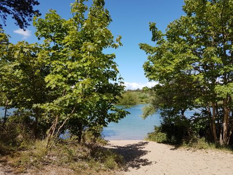 Camping Ginsterveld - Camping Schouwen-Duiveland - Image N°26