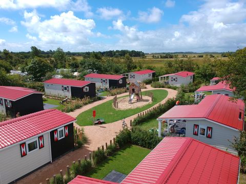 Camping Ginsterveld - Camping Schouwen-Duiveland - Image N°4