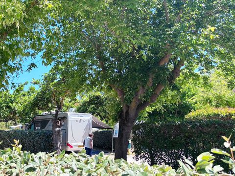 Camping Tikayan Beauséjour - Camping Var - Image N°5