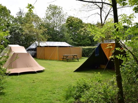 Robersum Recreatie - Camping Het Hogeland - Image N°7