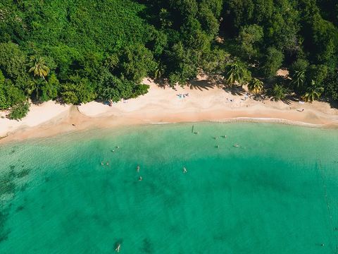 Pierre & Vacances Village Sainte-Luce Martinique - Camping Loire-Atlantique - Image N°23