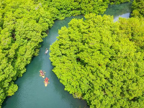 Pierre & Vacances Village Sainte-Anne Guadeloupe - Camping Guadeloupe - Image N°13