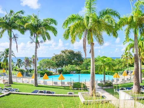 Pierre & Vacances Village Sainte-Anne Guadeloupe - Camping Guadeloupe - Image N°4
