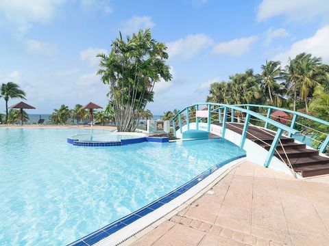Pierre & Vacances Village Sainte-Anne Guadeloupe - Camping Guadeloupe - Image N°2