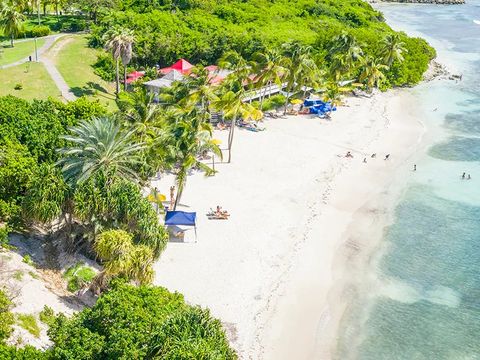Pierre & Vacances Village Sainte-Anne Guadeloupe - Camping Guadeloupe - Image N°8