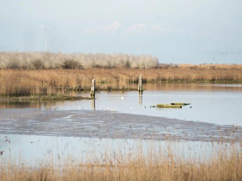 Hu Eraclea Mare - Camping Venise - Image N°14