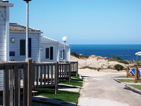 Camping Guincho - Camping Région de Lisbonne - Image N°5