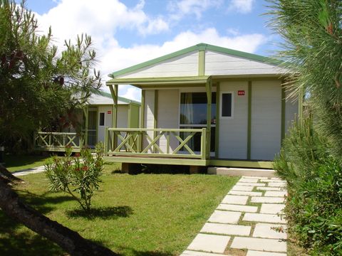 Camping Guincho - Camping Région de Lisbonne - Image N°4
