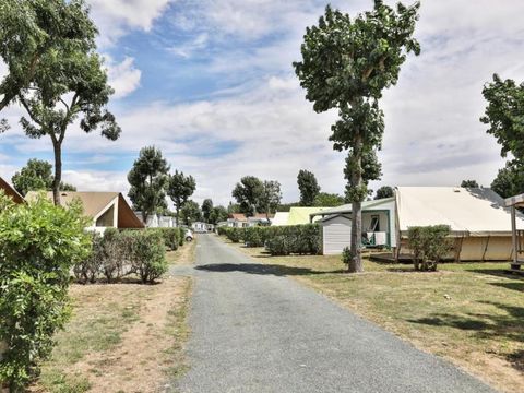 Camping maeva Club l'Atlantique - Camping Vendée - Image N°23