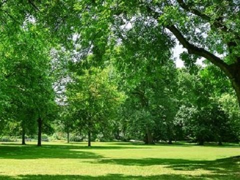 Village de Gites Le Bretou - Camping Dordogne - Image N°5