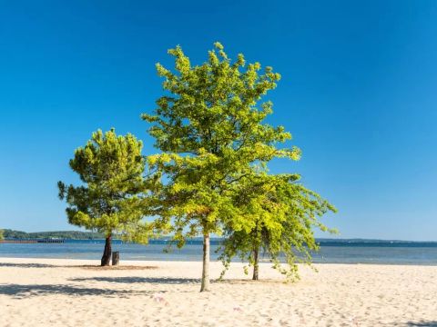 Camping Campeole Navarrosse Plage - Camping Landes - Image N°37