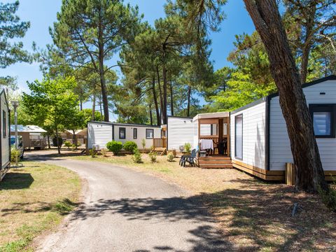 Camping Campeole Navarrosse Plage - Camping Landes - Image N°36