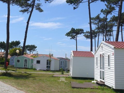 MOBILHOME 5 personnes - HAWAI - sans sanitaire