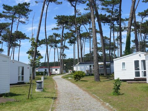 MOBILHOME 5 personnes - HAWAI - sans sanitaire