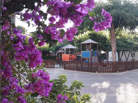 Camping L'Alqueria - Camping Valence - Image N°15