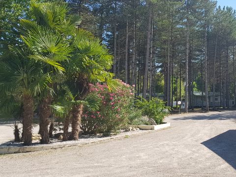 Camping Le Pardaillan - Camping Gers - Image N°23