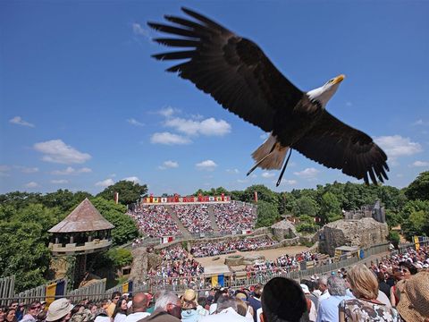 Sunêlia Camping Les Places Dorées - Camping Vendée - Image N°72