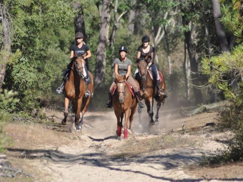 Sunêlia Camping Les Places Dorées - Camping Vendée - Image N°15