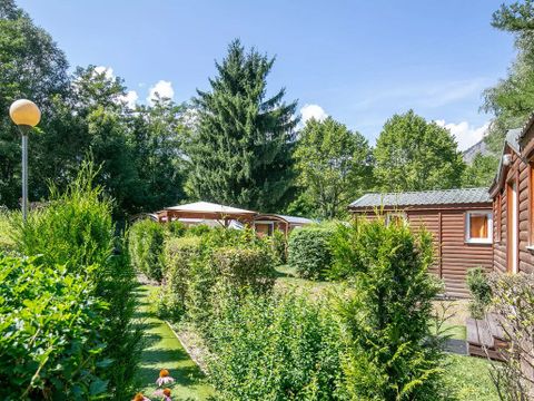 Flower camping À La Rencontre du Soleil  - Camping Isère - Image N°5