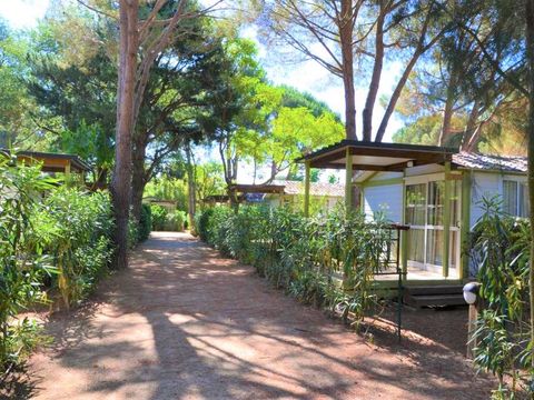 MOBILHOME 5 personnes - MOREA 2 Chambres Climatisé