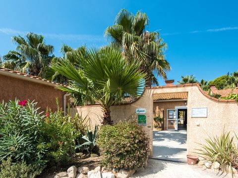 Camping La Pinède Enchantée  - Camping Pyrénées-Orientales - Image N°9