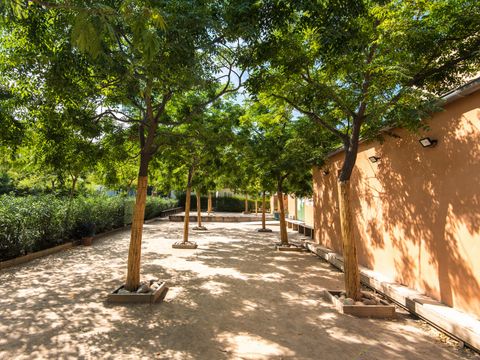 Camping La Pinède Enchantée  - Camping Pyrénées-Orientales - Image N°10