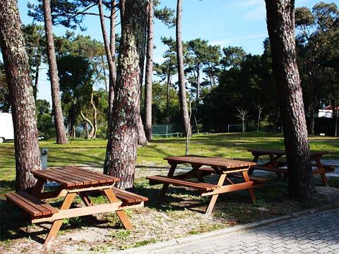 Camping Caminha - Camping Nord du Portugal - Image N°5