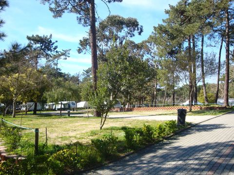 Camping Caminha - Camping Nord du Portugal - Image N°11