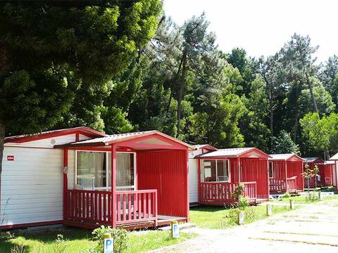 Camping Caminha - Camping Nord du Portugal - Image N°4