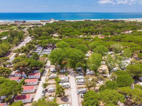 Camping Costa de Caparica - Camping Région de Lisbonne