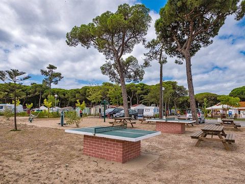 Camping Costa de Caparica - Camping Région de Lisbonne - Image N°7