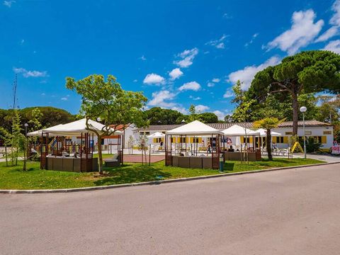 Camping Costa de Caparica - Camping Région de Lisbonne - Image N°8