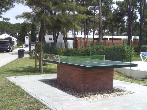 Camping Gala - Camping Centre du Portugal - Image N°9
