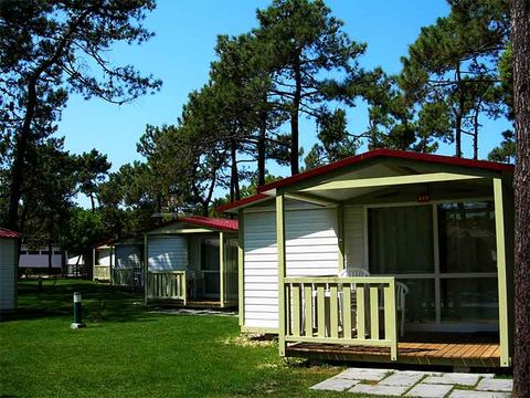 Camping Gala - Camping Centre du Portugal - Image N°28